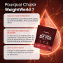 Fer Bisglycinate 28mg - 400 Micro Comprimés Vegan (pour +1 An) sans Goût, Petit Sachet Refermable - le Fer Contribue à la Format