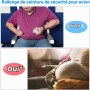 NECBAOA Rallonge Ceinture de Sécurité Avion – Extension Réglable 25 à 76 cm | Clip Métal Robuste – Pour Femmes Enceintes, Passag