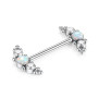 hengkaixuan Piercing pour téton en titane G23 - Calibre 14 - Pour femme - Or rose - Argent - Oxyde de zirconium - 12 - 14 - 16 -
