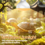 Ampoule Chauffante Terrarium 75W pour Tortue Serpent Lézard, 2 Pièces | Haute Qualité de Verre, Simule Lumière du Soleil, UVA Ch