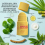 BASE LABORATORIES Sérum Roll-On Anti-Poils Incarnés, Peau Lisse & KP | 60 ml, Traitement Poils Incarnés, Soin Boutons de Rasage,