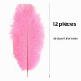 Anseom 12 Pièces Plumes d'Autruche Naturelles 20-25 cm pour Mariage, Couture, Artisanat, Costumes, Fête à Thème, Décoration de N