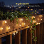 Liyade Guirlande Lumineuse à Piles, en Forme D’étoiles, 1m 20LED, Piles | Étanche IP44, Blanc Chaud, Guirlande étoile de Noël In