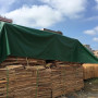 Bâche imperméable et résistante en 130 g/m² –1,5 x 2 m– Anti-UV et antigel – avec œillets en métal – Multi-usages pour Jardin, C