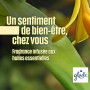 Glade Diffuseur à Bâtonnets, Romantic Vanilla Blossom*, 3 x 50 ml | Parfum d’Intérieur Longue Durée, Diffusion Continue Jusqu’à 