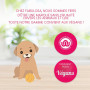 Fabulosa Détergent à lessive parfumé, liquide de lavage pour enlever les taches, assouplissant concentré pour vêtements, 264 lav