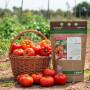 CULTIVERS Engrais calcium pour tomates et poivrons 1 kg, écologique, action immédiate, correcteur de carences, améliore la fruct