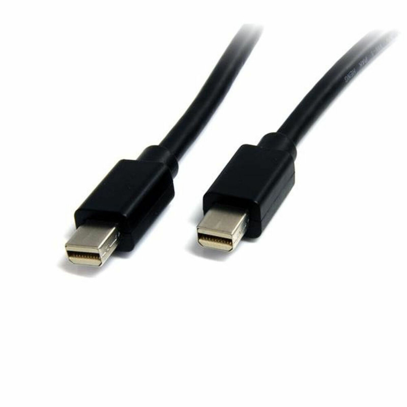 Mini câble DisplayPort Startech MDISP2M (2 m) 4K Ultra HD Noir