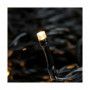 Guirlande lumineuse LED Blanc (2 m) 33,99 €