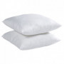 Lot de 2 oreillers Microfibre Anti-Acariens 60x60cm 73,99 €
