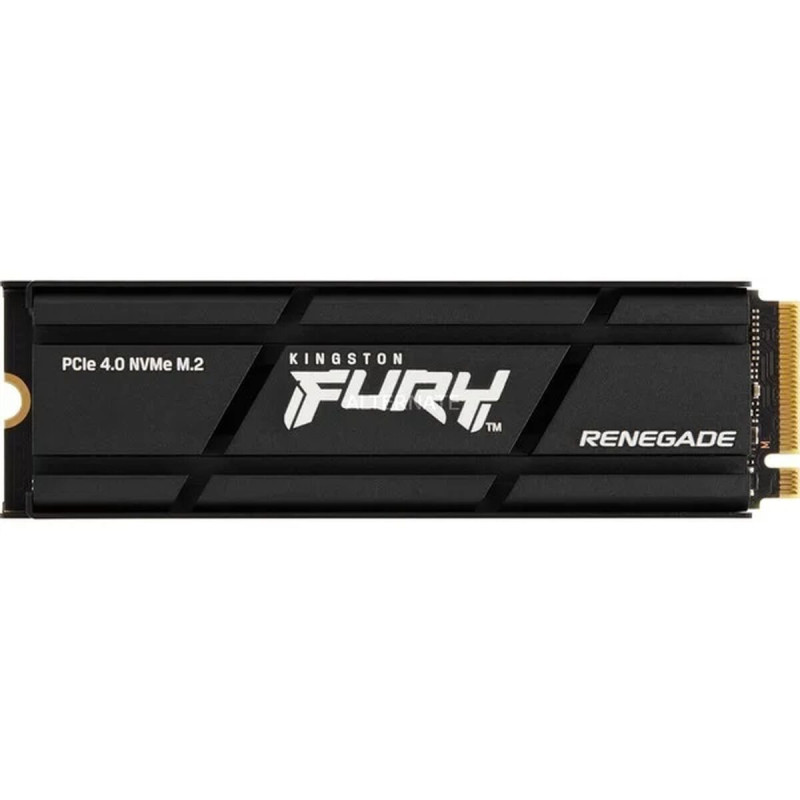 Kingston Technology 1000G RENEGADE PCIe 4.0 NVMe SSD W/ Radiateur de dissipation thermique